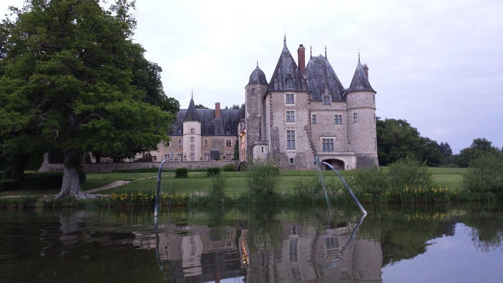 Chateau De La Verrerie Hotel Aubigny-sur-Nere Exterior photo